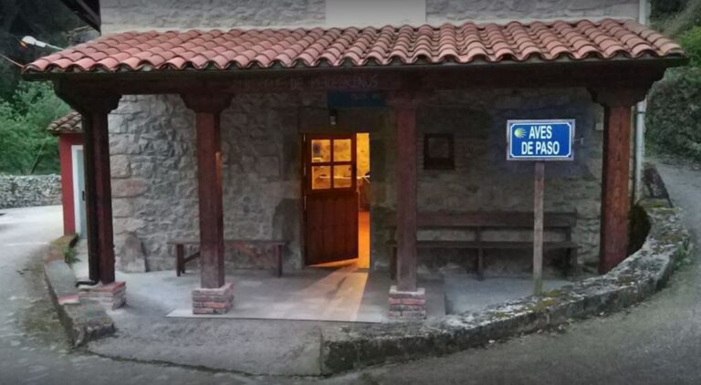 Albergue Aves de Paso 768x422