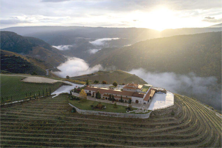 Bodegas Regina Viarum6 768x510