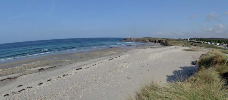 playa arealonga portada web 768x338