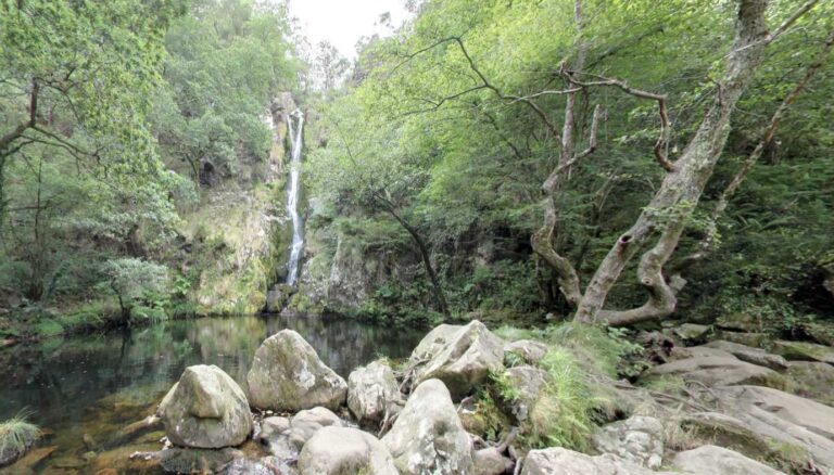 pozo da ferida cabecera web 768x438