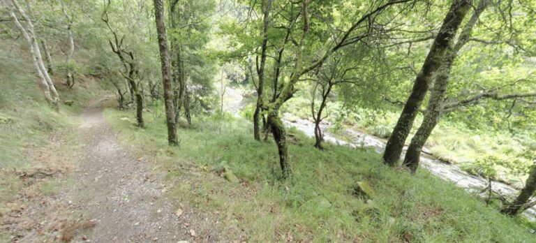 ruta senderismo riberas sor cabecera web 768x348