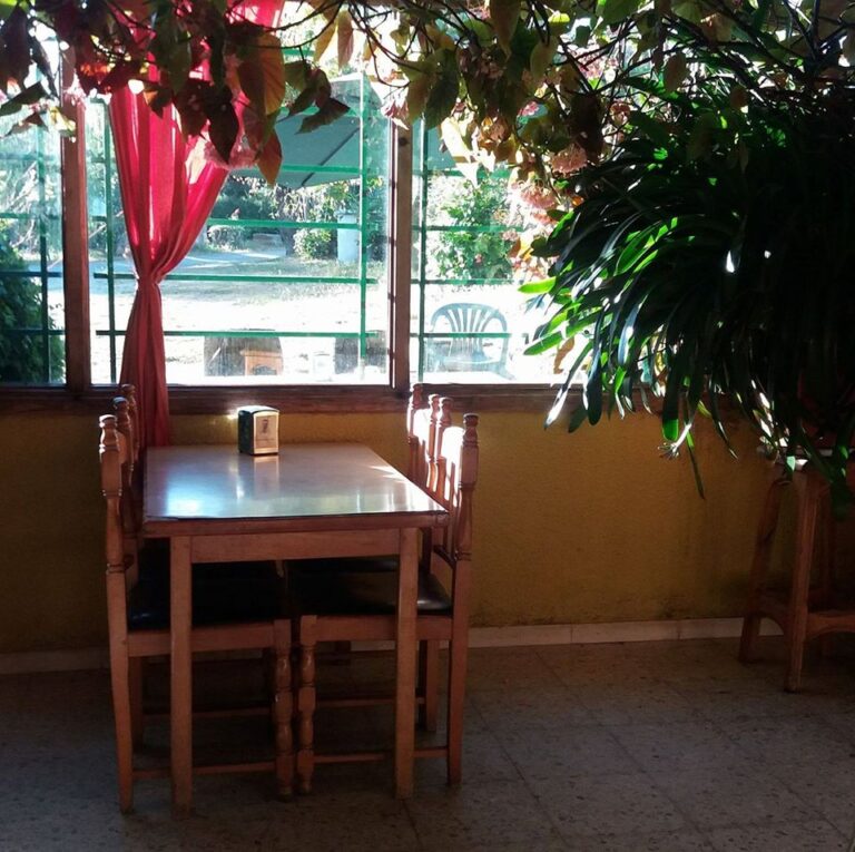 20626186 1953251481618311 7565180397669267179 o 768x765