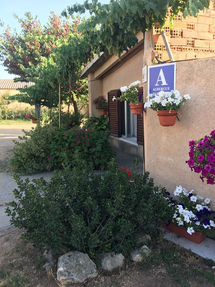 67278298 2665932180104961 5797904583413989376 o