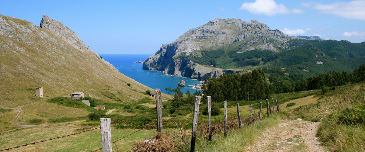 Camino-de-santiago-norte-destacada