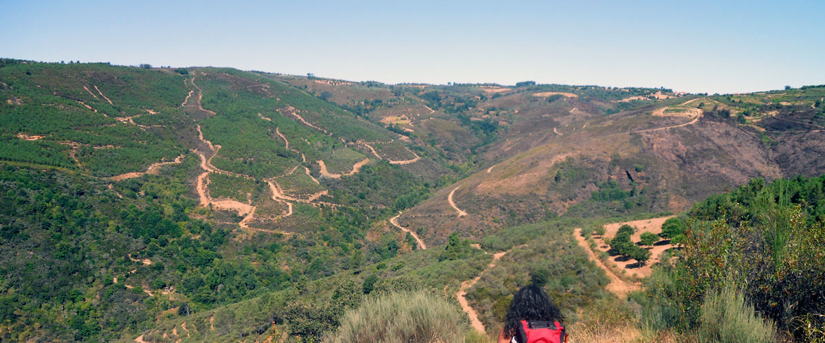 Camino-de-santiago-portugues-destacada