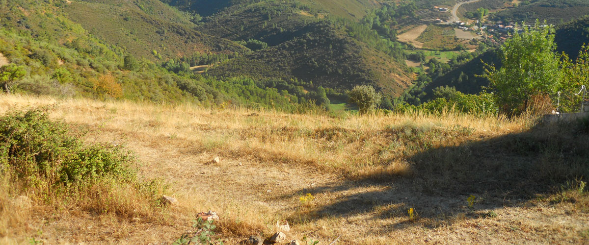 Camino-de-santiago-via-de-la-plata-destacada