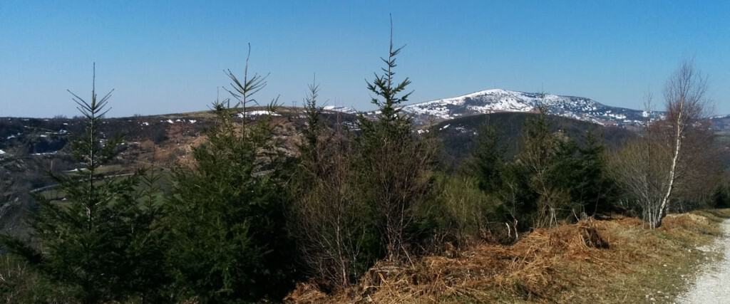 camino-de-santiago-de-invierno-destacada